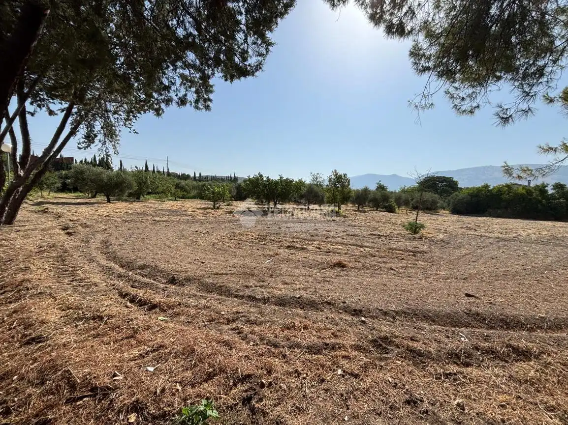 House with pool for sale in La Guardia de Jaén, imagen 35