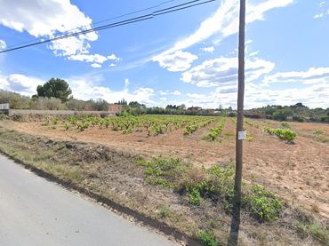 Terrain rustique à vendre à Colonia Tosal 46