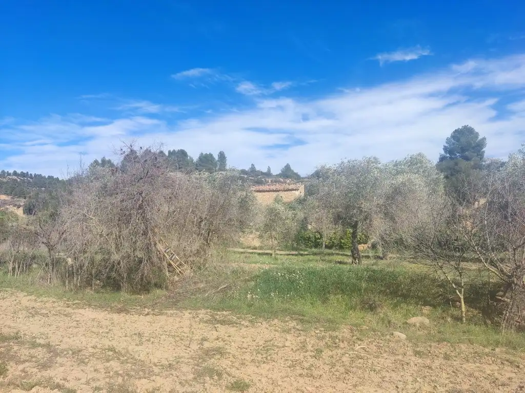 Terreni e lotti in vendita a Mazaleón, imagen 8