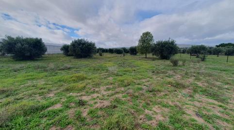 Foto 4 de Finca rústica en venta en Aldea del Fresno, Madrid