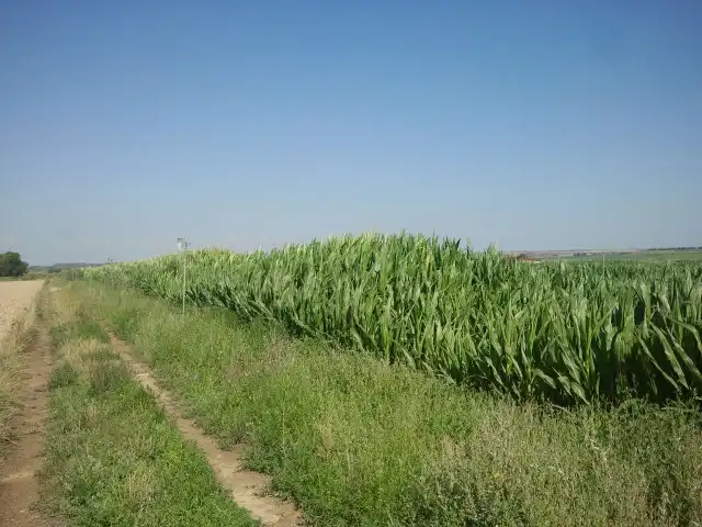 Terreni e lotti in vendita a Sariñena, imagen 3