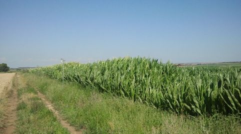 Foto 3 von Grundstücke zum Verkauf in Sariñena, Huesca