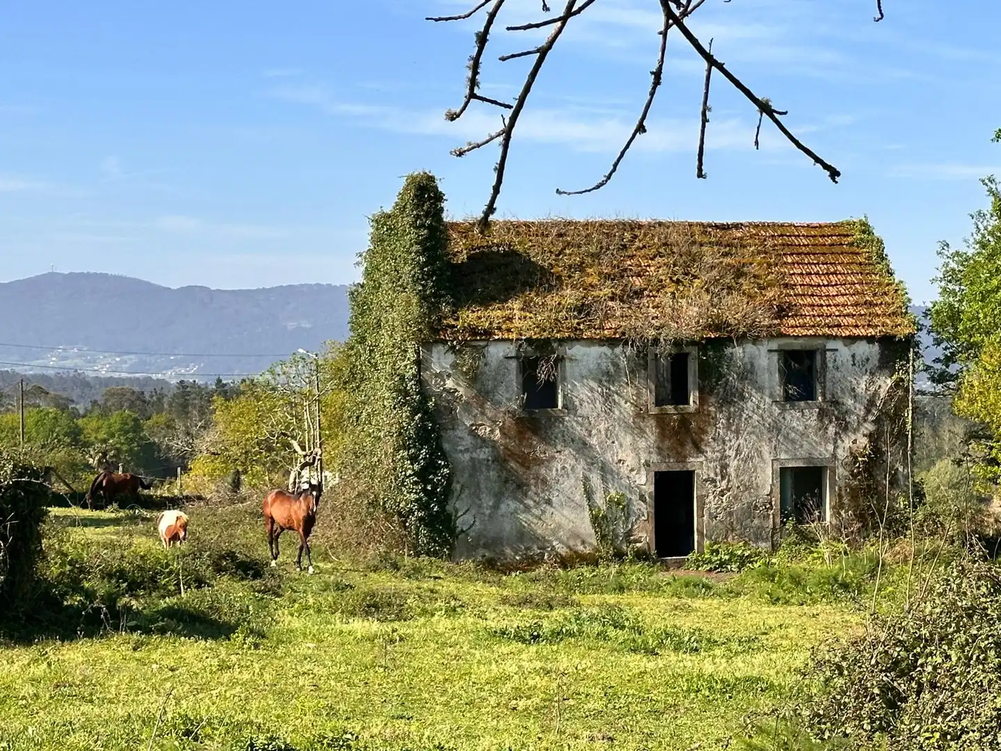 Casa o xalet en venda a Rúa Argimiro González Neira, 7, Vedra