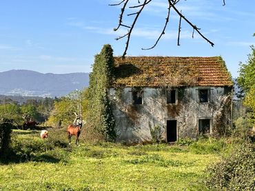 Casa en venda a Rúa Argimiro González Neira 7