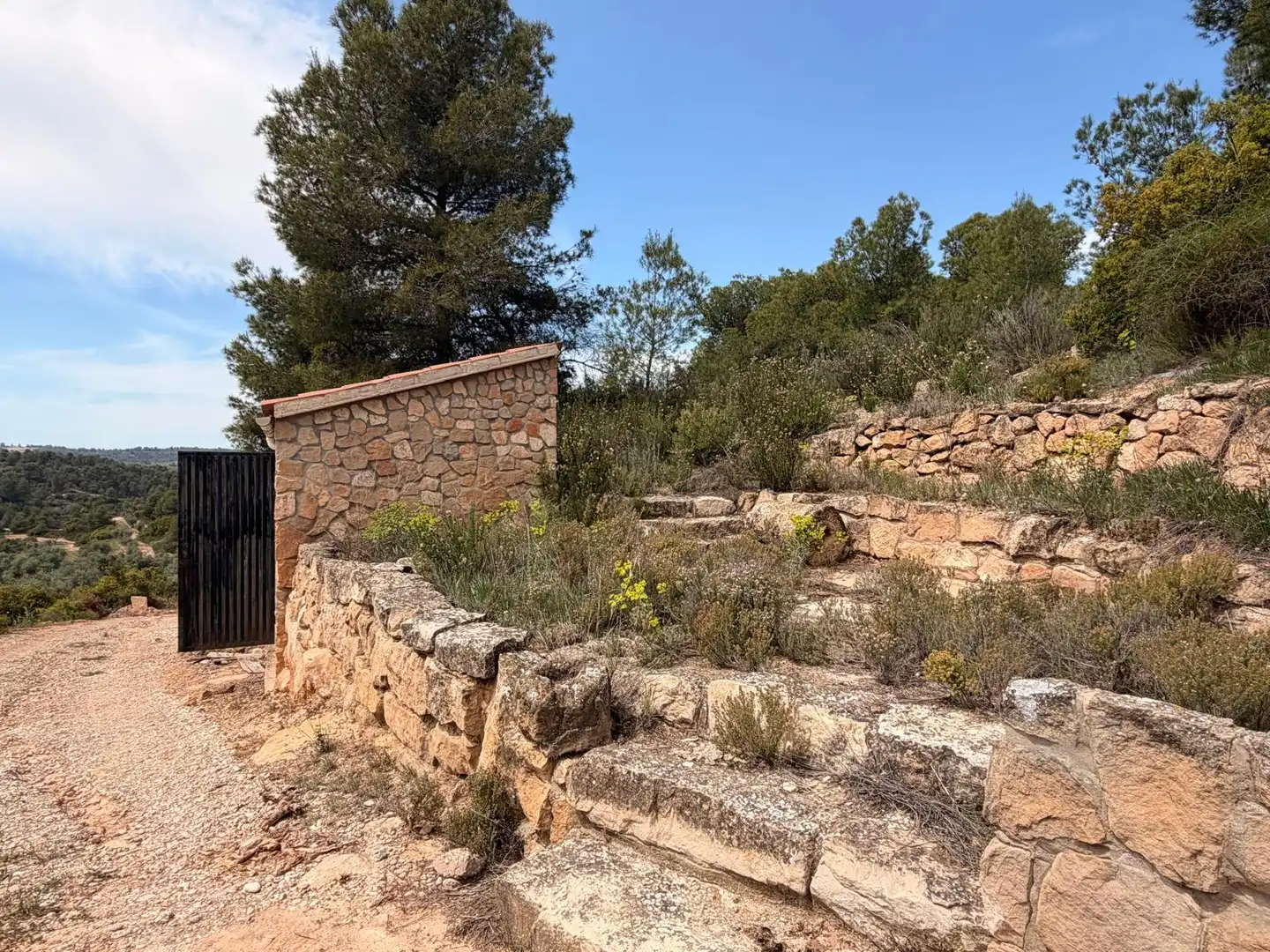 Land for sale in Juncosa