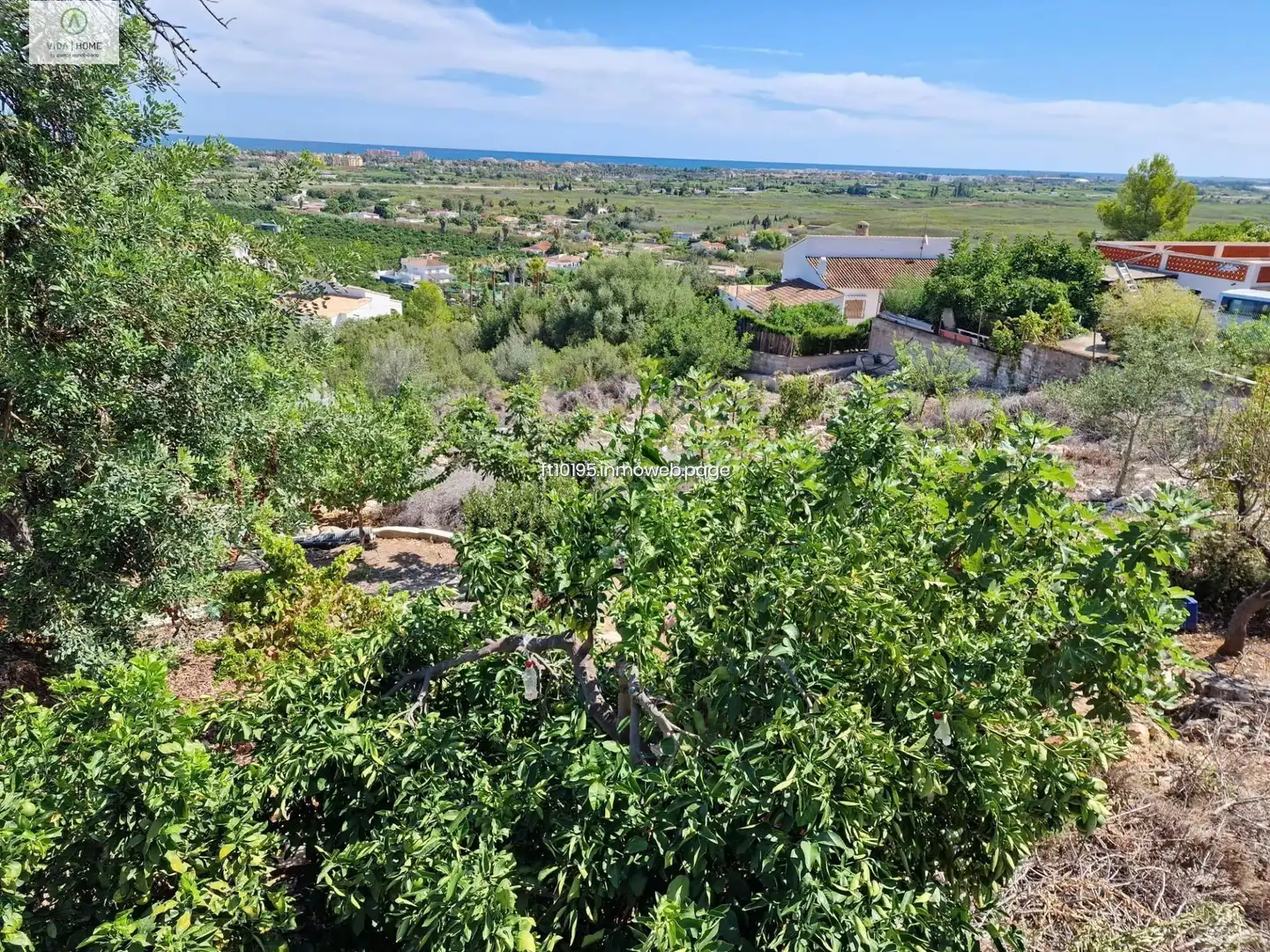 Terreny residencial en venda a Oliva pueblo, imagen 11