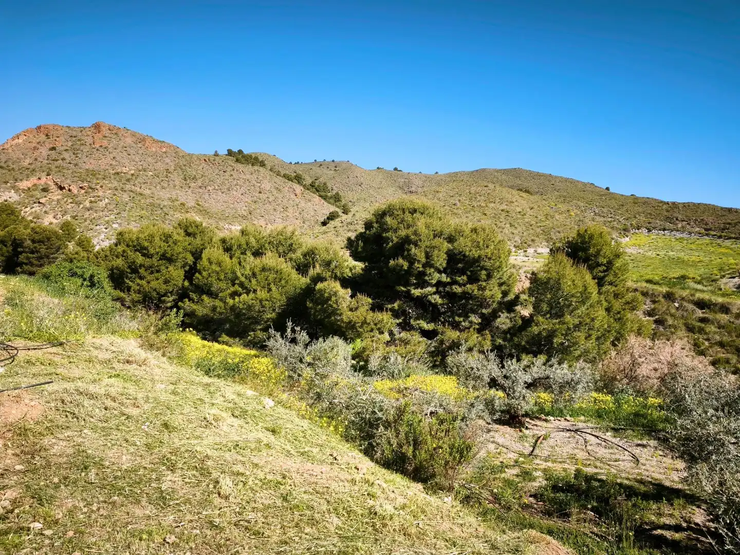 Terrains et parcelles à vendre à MORATA, imagen 39