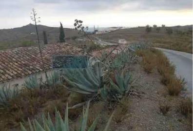 Foto 2 de Terreny en venda a Vélez-Rubio, Almería