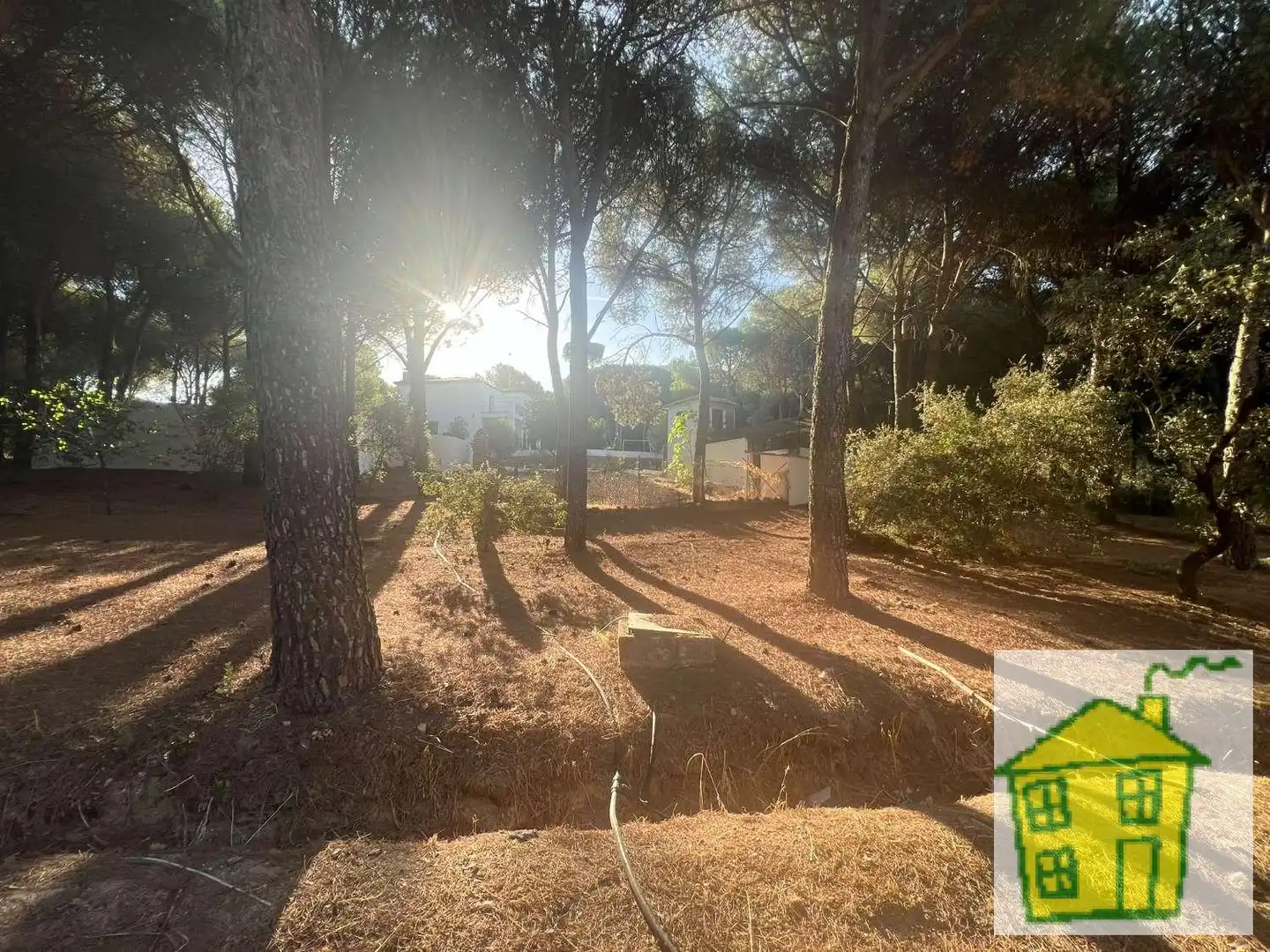 Country house with pool for sale in Andújar, imagen 15