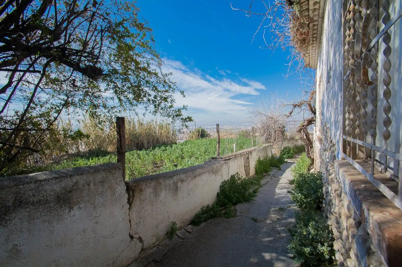 Wohnbaugrundstück zum Verkauf in Calle camino nuevo del cementerio, imagen 13