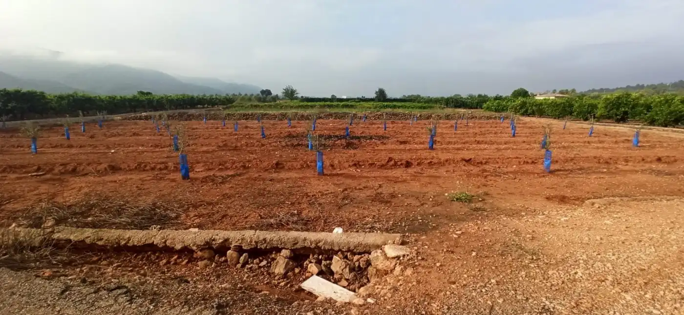 Terreno en venta en Anna