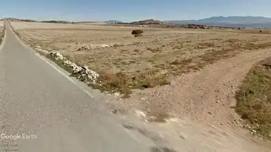 Terreno rústico en venta en Pedro Martínez, imagen 4