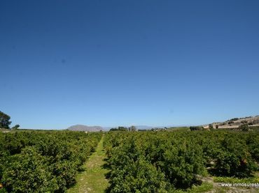 Grundstücke und Bauplätze zum Verkauf in Jacarilla