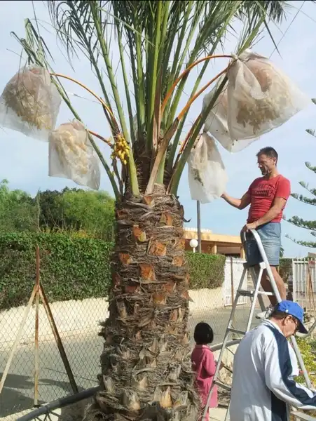 Xalet en venda a Perleta - Maitino, imagen 3