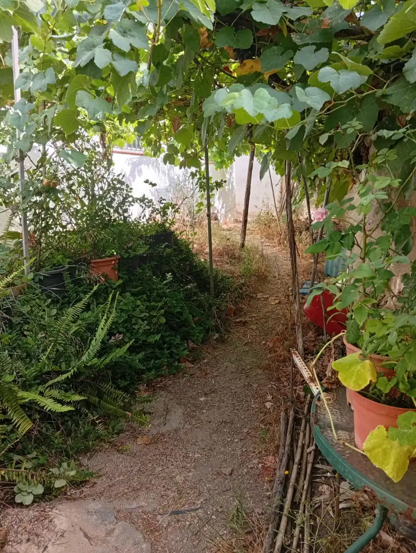 Villa avec jardin à vendre à Ayamonte ciudad, imagen 22