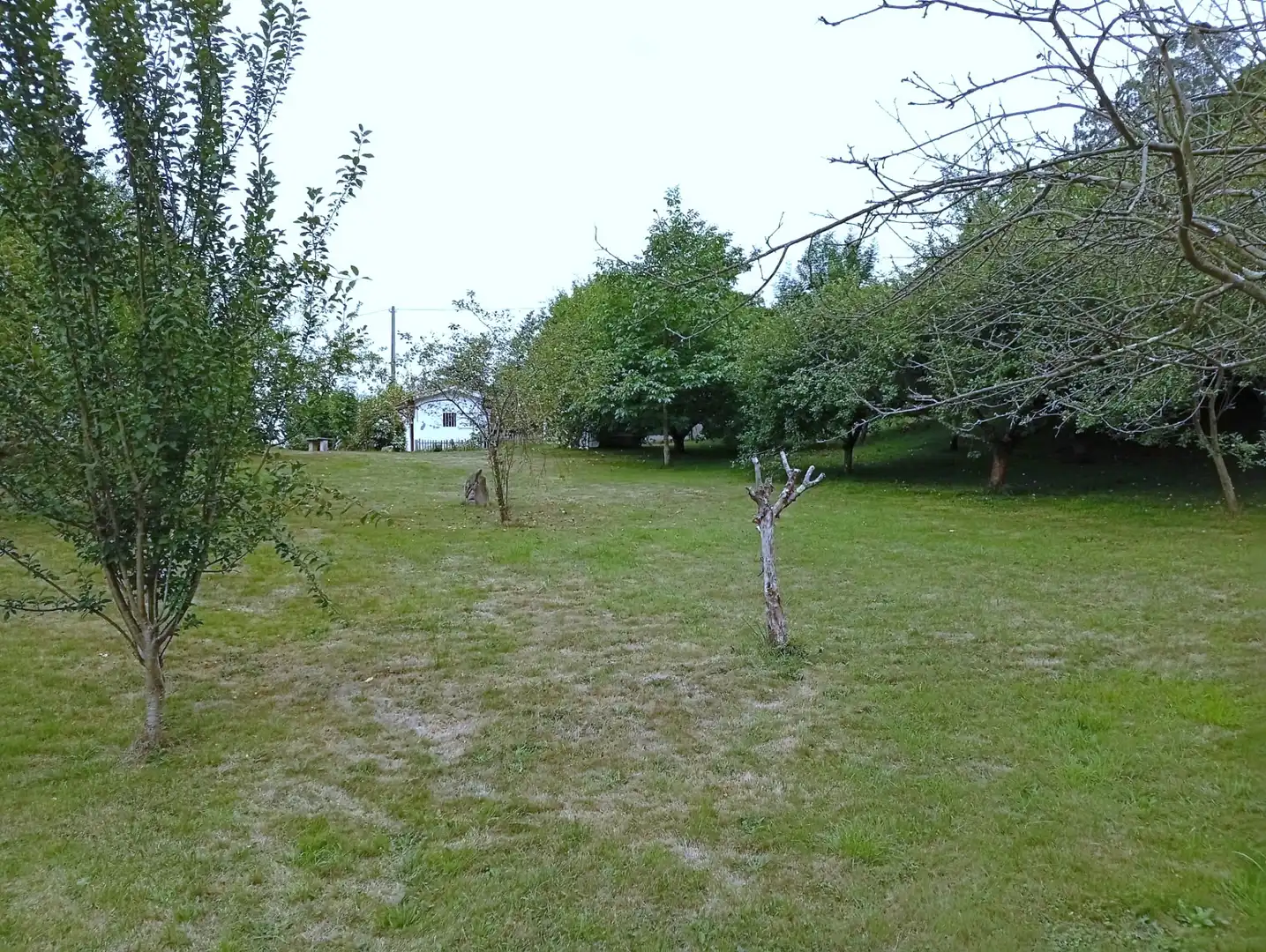 Terreny rústic en venda a Camín de la Xía 686, imagen 18