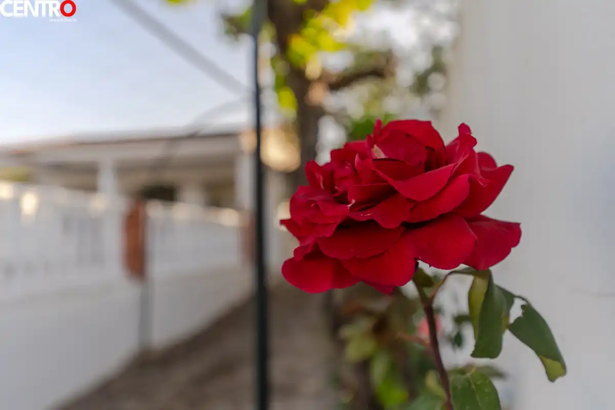 Casa con giardino in vendita a molinos, imagen 2