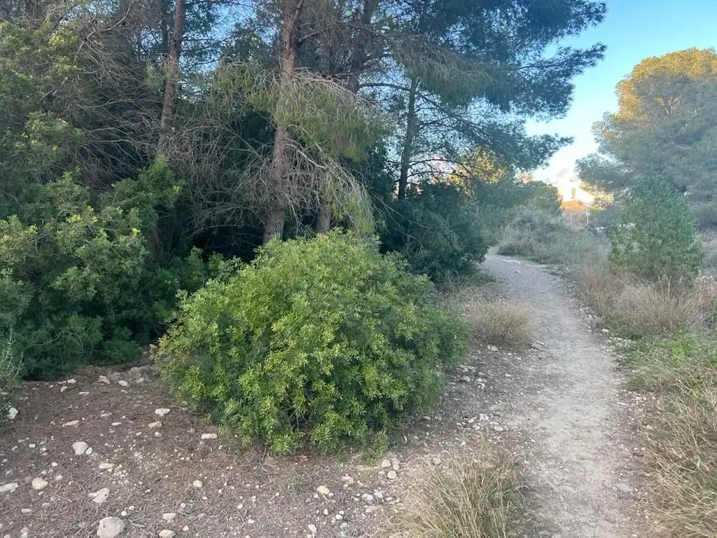 Terreno en venta en Altafulla
