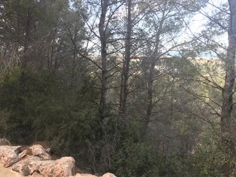 Terreny rústic en venda a La Font d'en Carròs, imagen 4