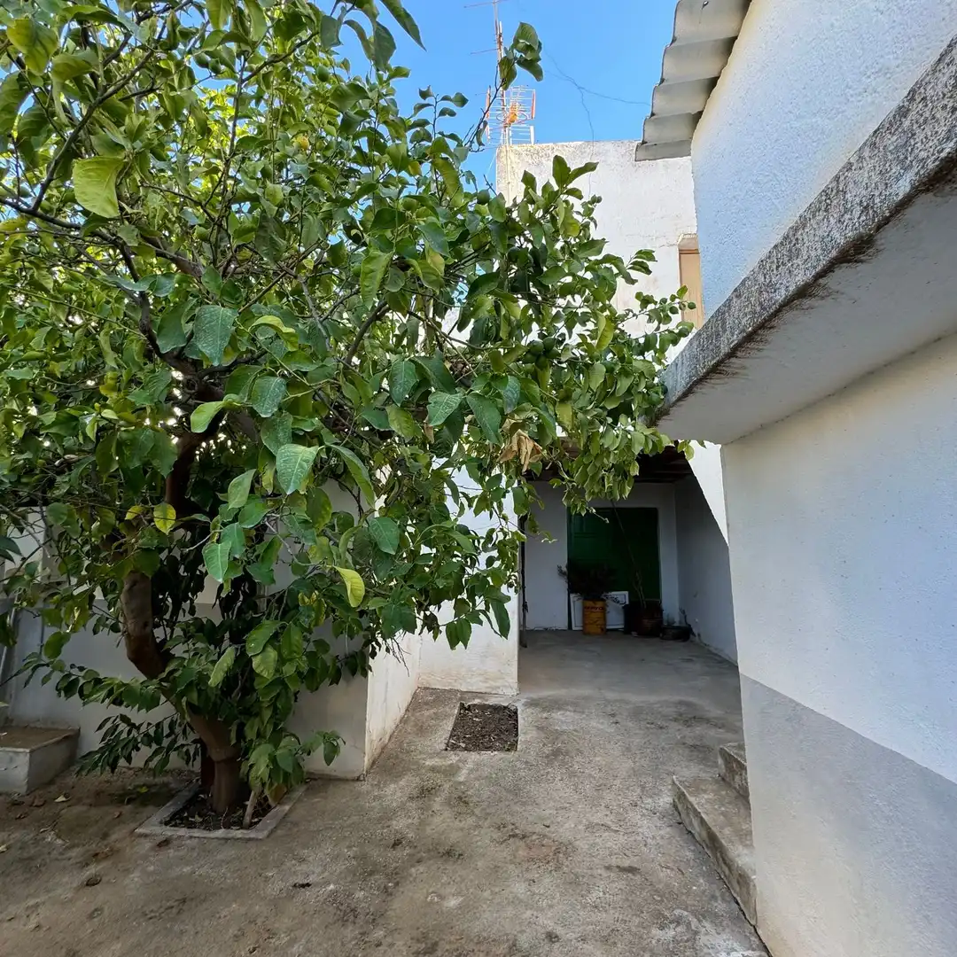 House with garden for sale in Periana, imagen 5