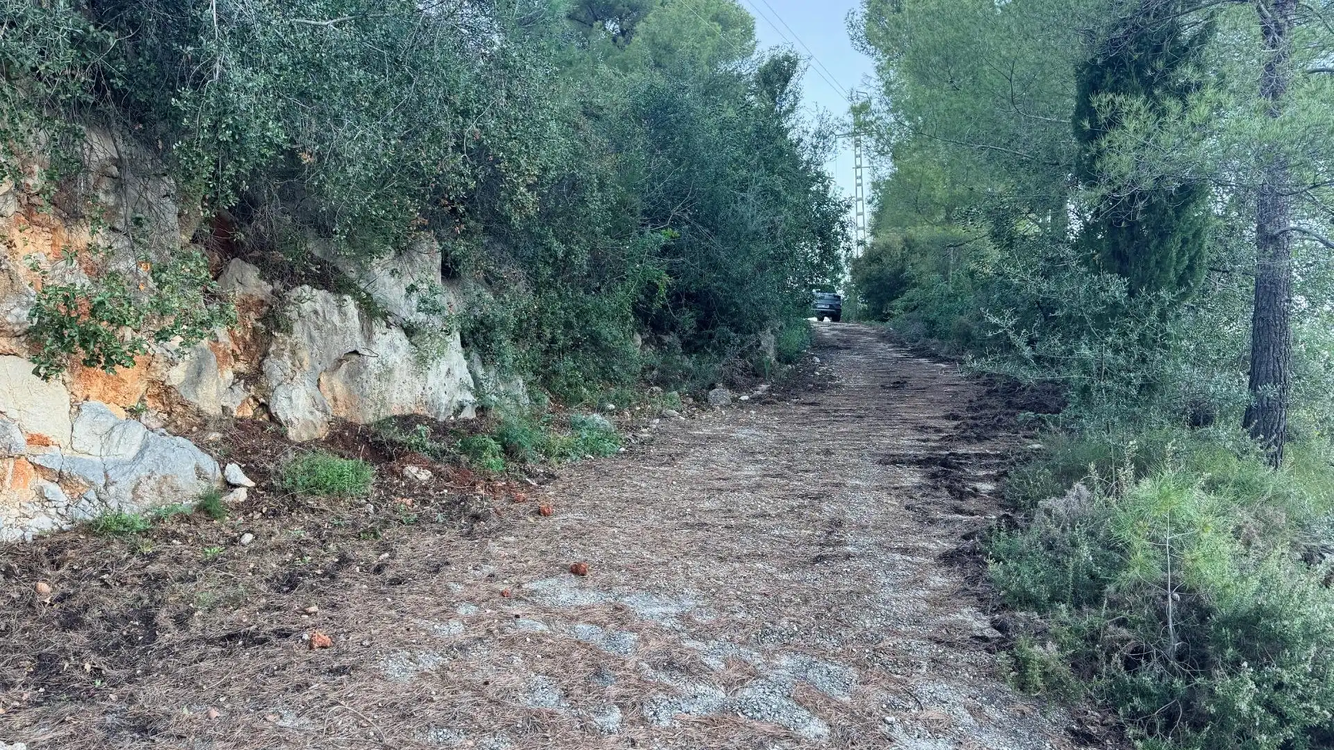 Rural land for sale in Pego, imagen 5