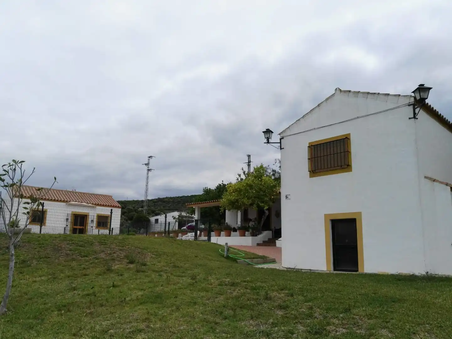 Vista exterior de Finca rústica en venda en Arcos de la Frontera amb Jardí privat i Piscina comunitària