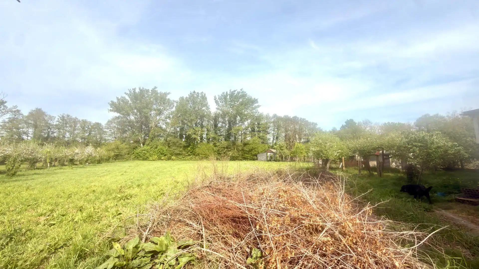 House with terrace for sale in Monforte de Lemos, imagen 91