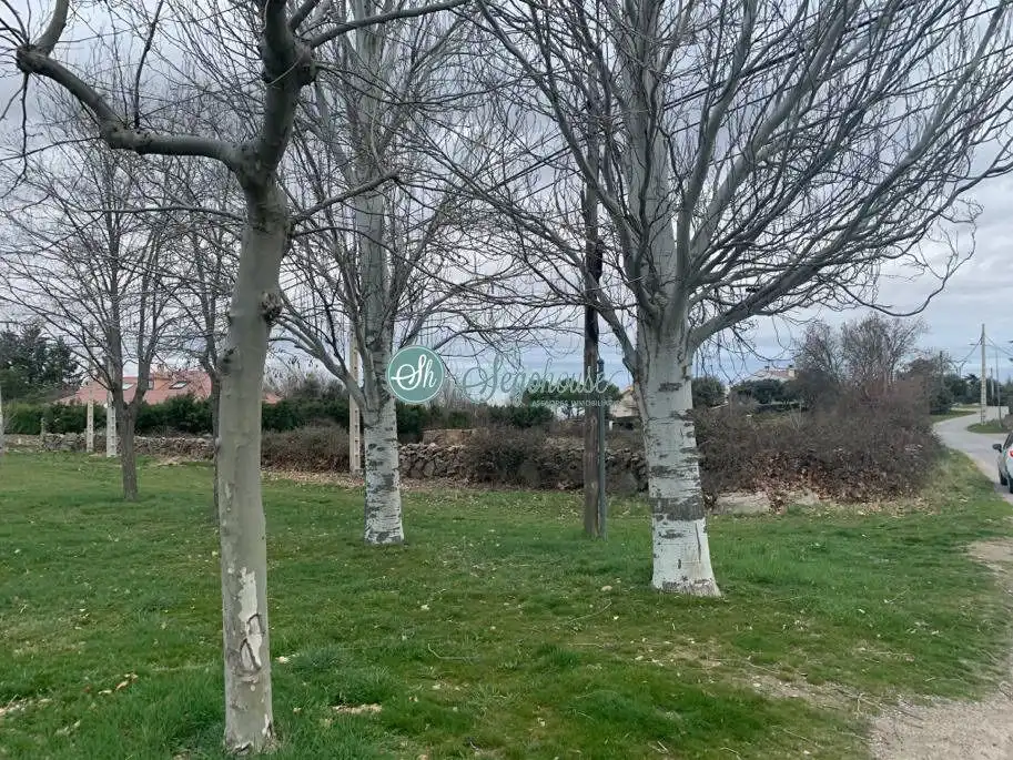 Terreny residencial en venda a Ortigosa del Monte, imagen 12