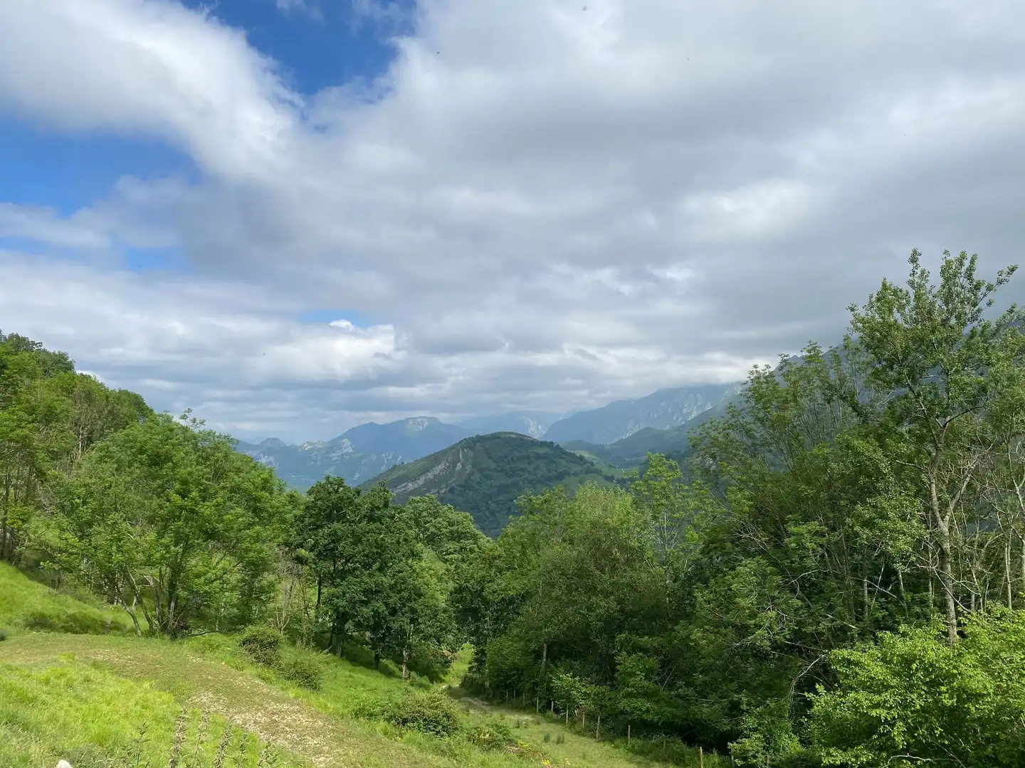 Land for sale in La Molina, Cabrales