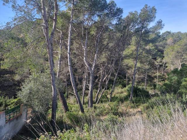 Terreno residencial en Venta en Calle FOIX DEL, 34 en La Bisbal del Penedès