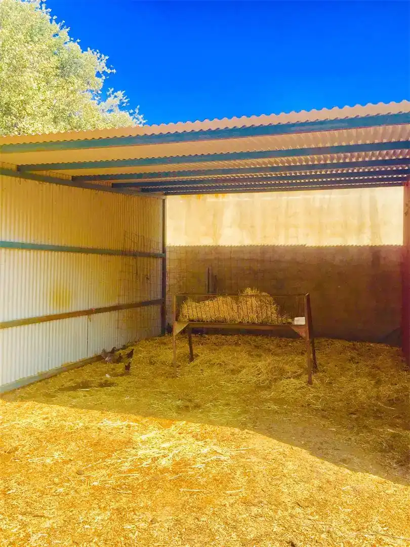 Vista exterior de Pis en venda en Talarrubias amb Jardí privat i Moblat
