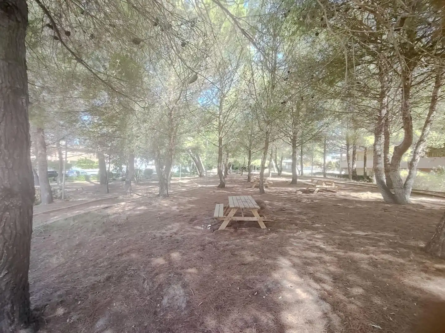 Parking of Apartments for rent in Muro