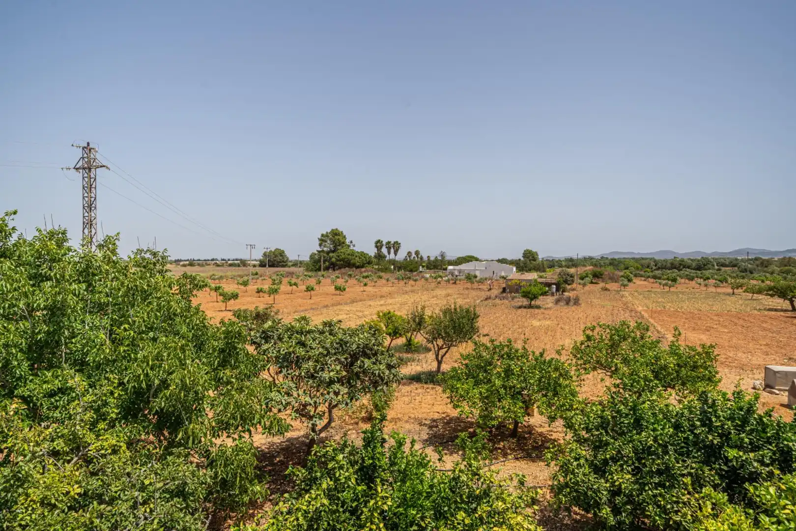 Casa o xalet en venda en Felanitx