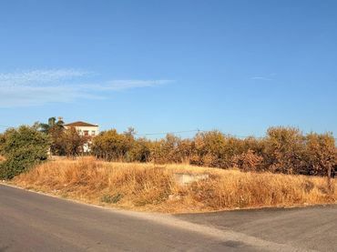 Terreny rústic en venda a Ardelejos - Cuesta de la Palma - Buenavista