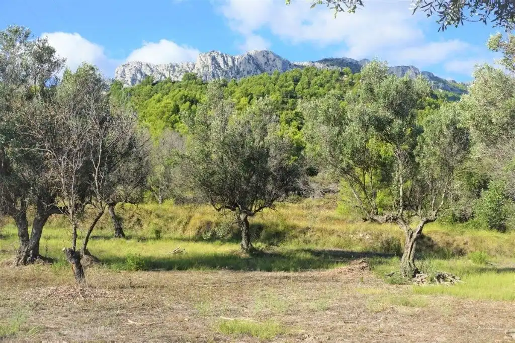 Land for sale in El Castell de Guadalest