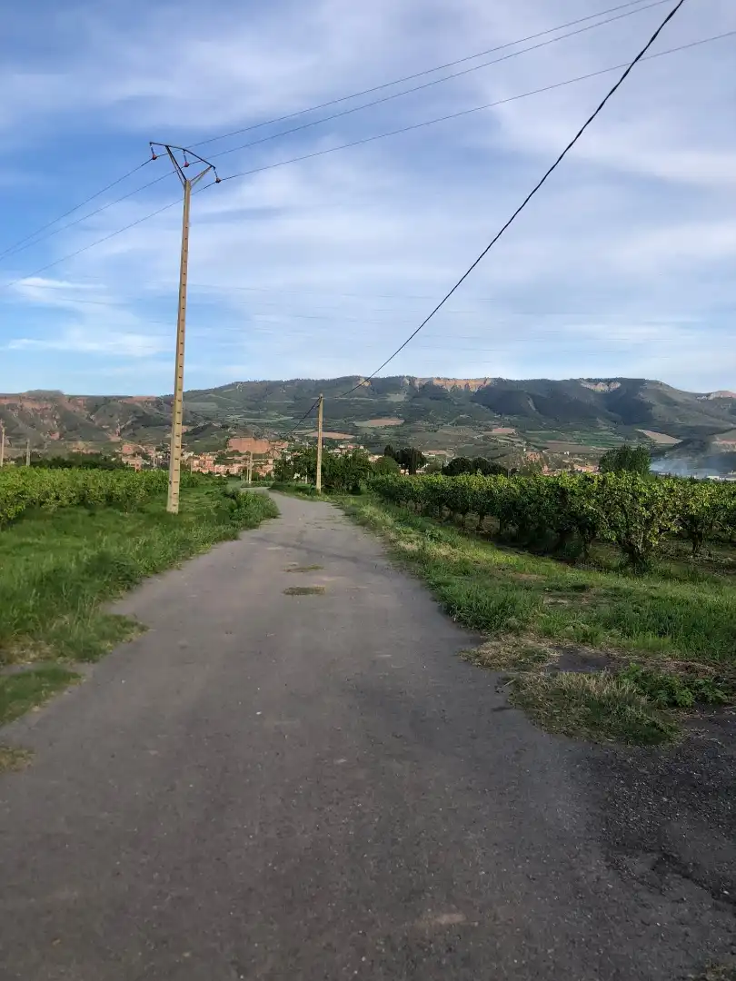 Terreni e lotti in vendita a Albelda de Iregua, imagen 16