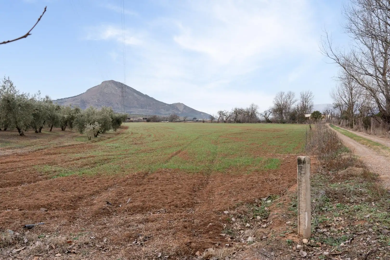 Terrenys i solars en venda a Polígono 23 Parcela 63 LA ZANJA. ALBOLOTE (GRANAD 23, imagen 19
