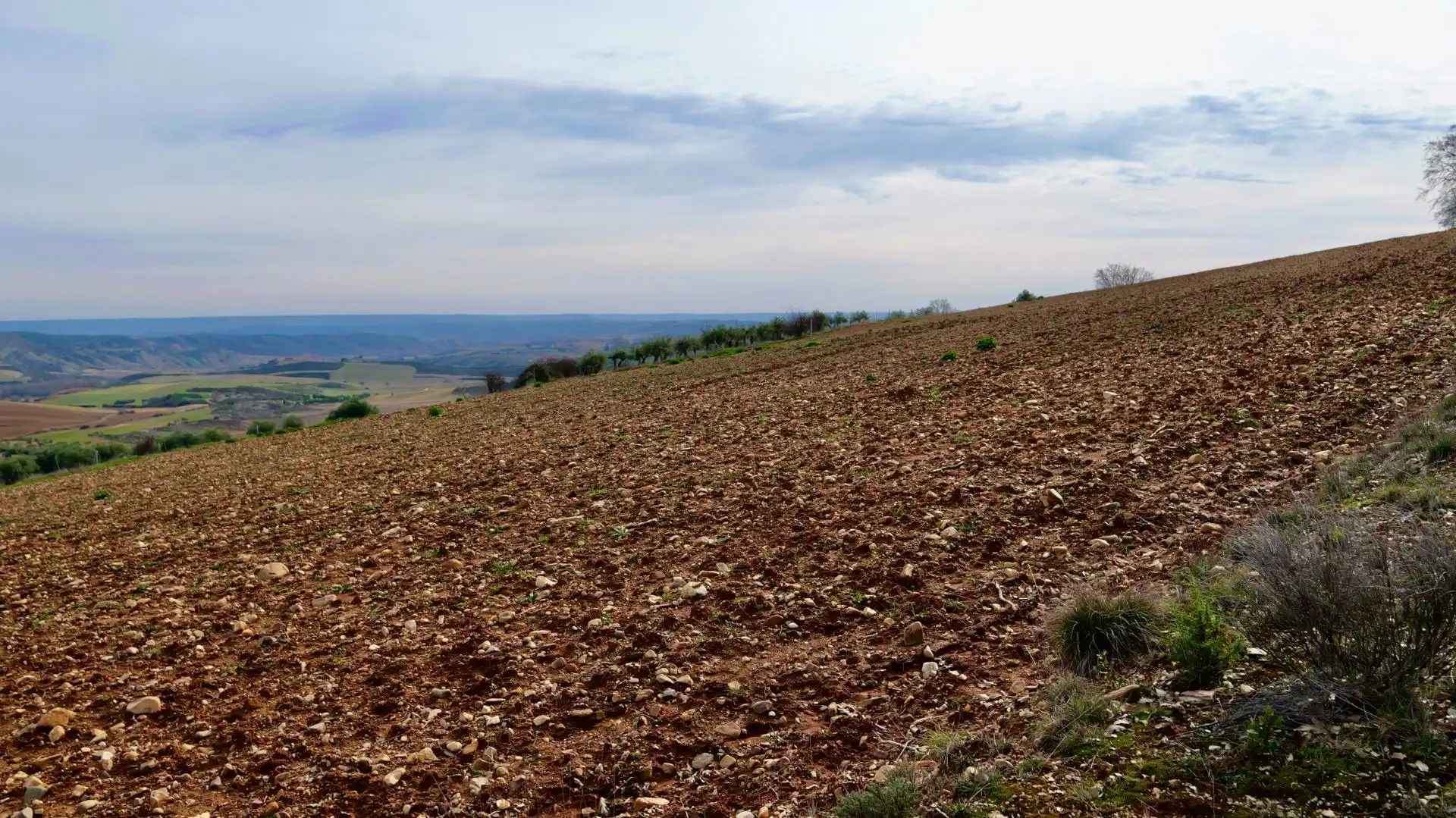 Land for sale in Arbancón
