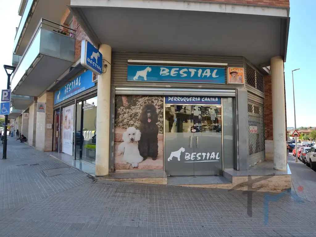 Business premises to rent in Avenida Catalunya