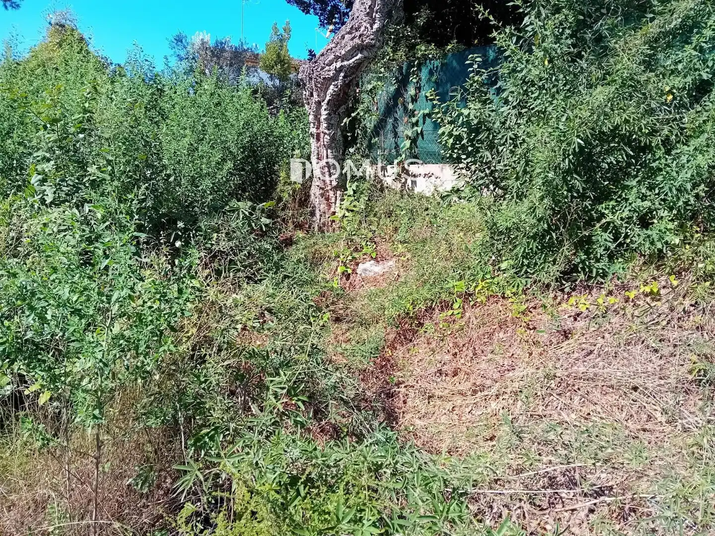 Terreno rustico in vendita a Dels Eucaliptus, imagen 6