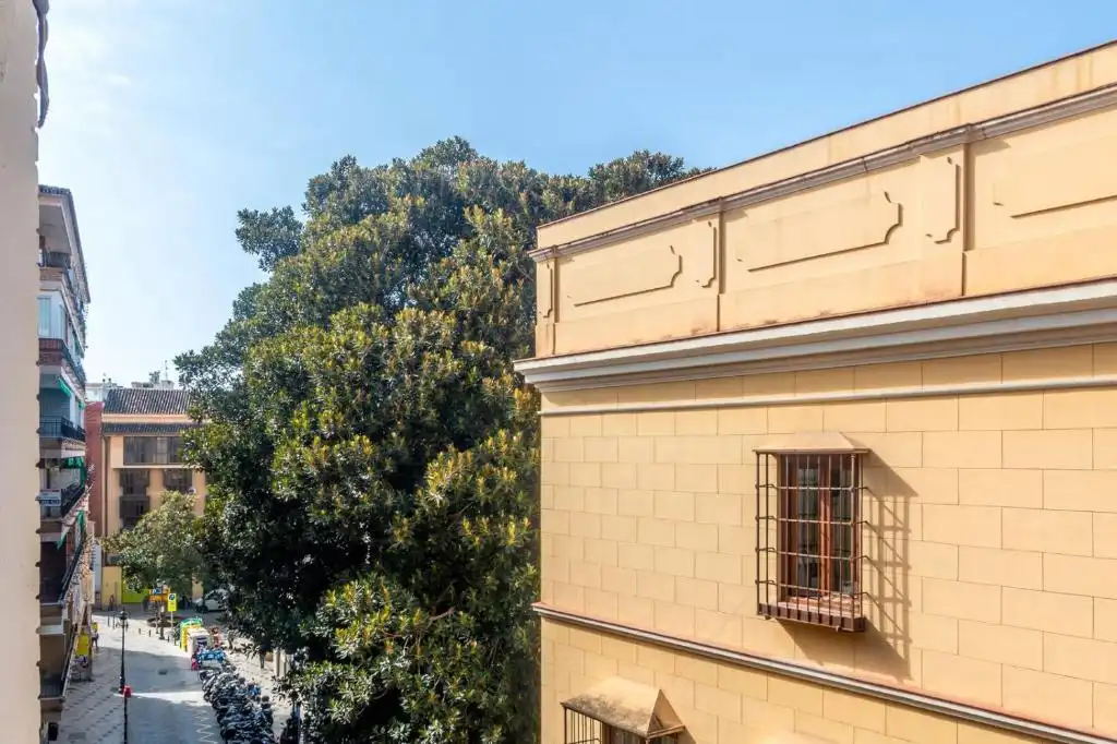 Flat with terrace to rent in Centro, imagen 15