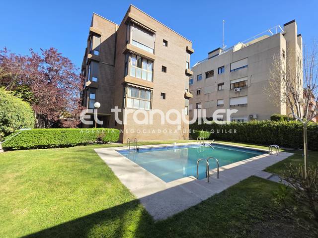 Piso en Alquiler en Calle Sánchez Díaz en Quintana