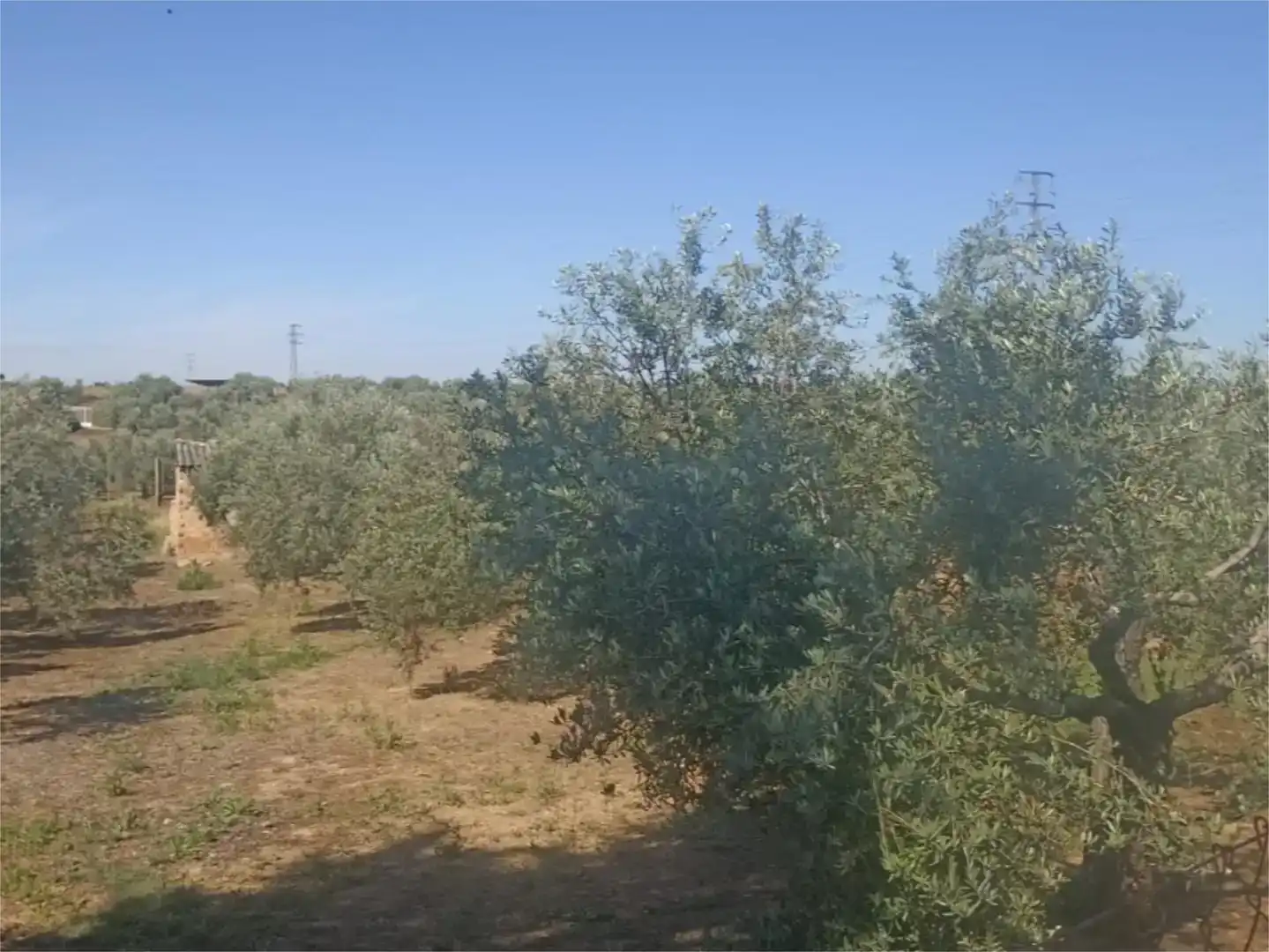 Piso en venta en Linares con Aire acondicionado