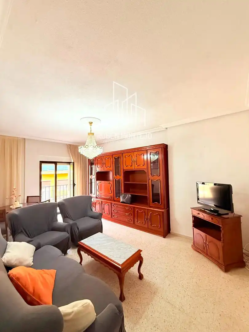 Sala de estar de Piso de alquiler en Salamanca con Calefacción, Terraza y Amueblado