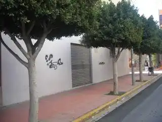 Local commercial à vendre à El Ejido Ciudad, imagen 2