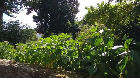Photo 2 of Flat for sale in Ribela, 29, Lalín, Pontevedra