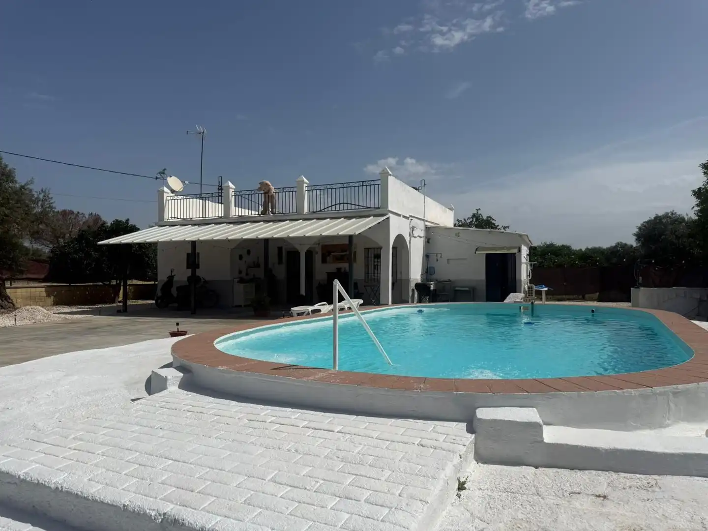 Piscina de Casa o xalet en venda en Utrera amb Jardí privat, Terrassa i Piscina
