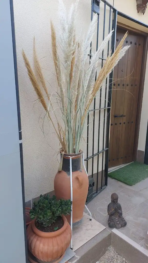 Jardí de Finca rústica en venda en Alhama de Murcia amb Jardí privat i Piscina