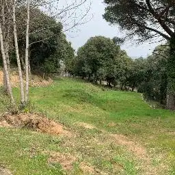 Terreny residencial en venda a Arbúcies, imagen 18