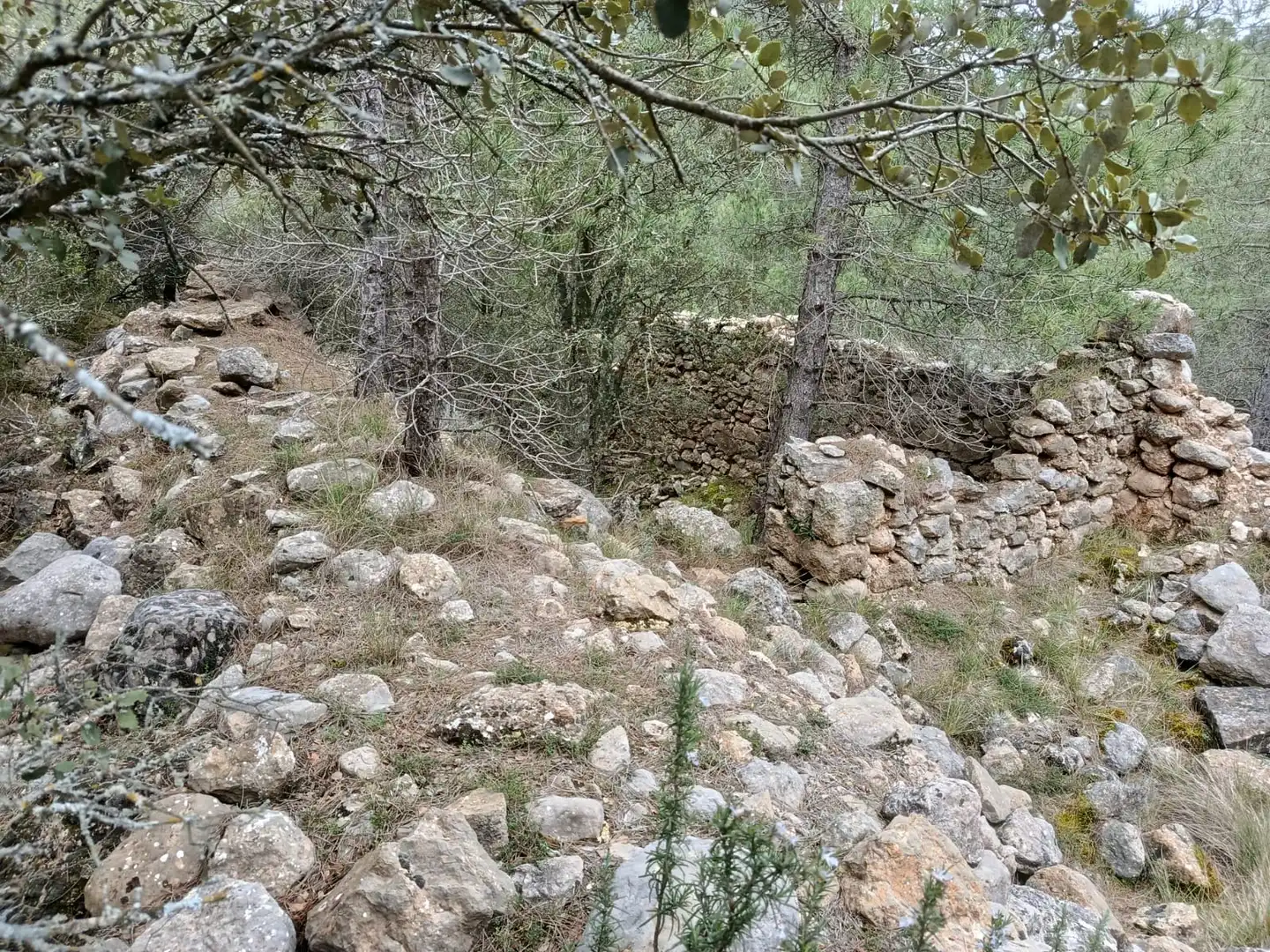 Grundstücke zum Verkauf in Peñarroya de Tastavins